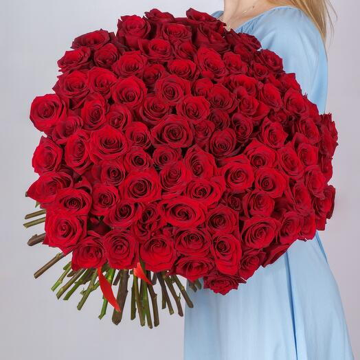 101 Red Roses