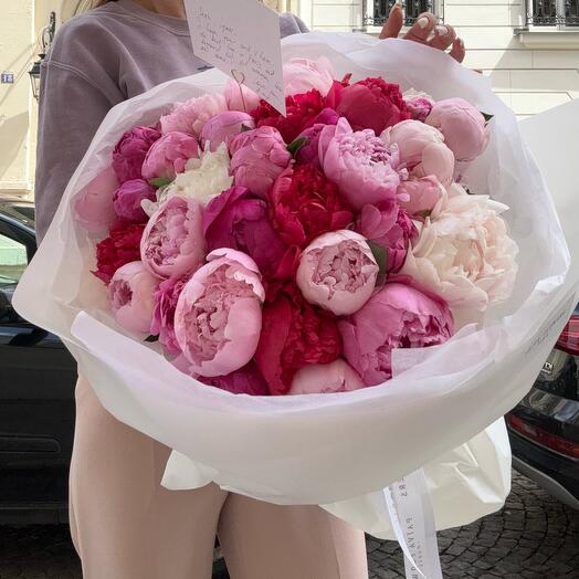 Peonies dophanine