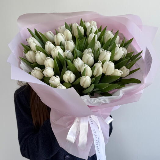 Crispy tulipes 49 stems