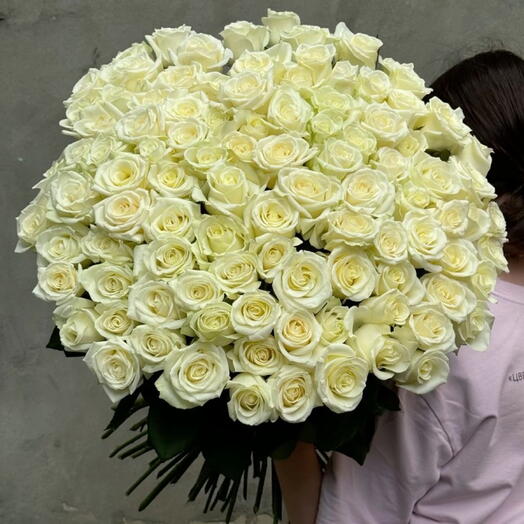 101 Roses blanc