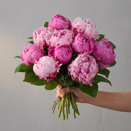 Pivoine imperiale