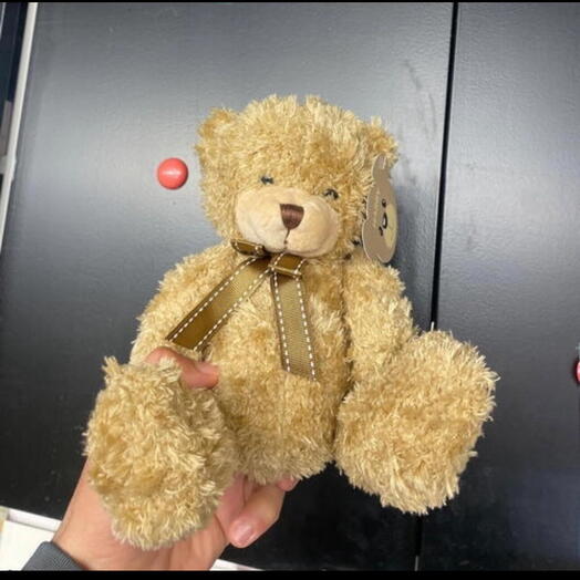 Медвежонок Гарри