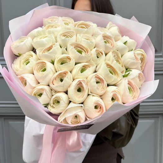 Powder Pink Ranunculus