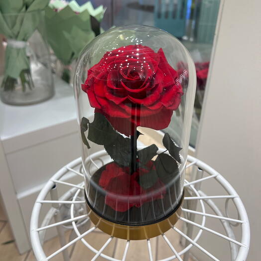 Moyenne rose eternelle