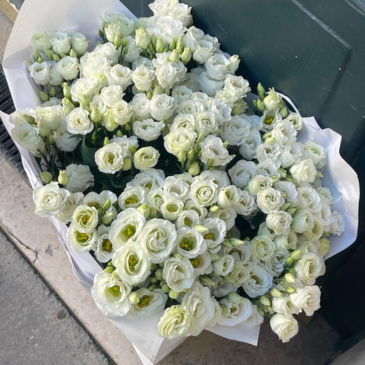Lisianthius white 30 flowers
