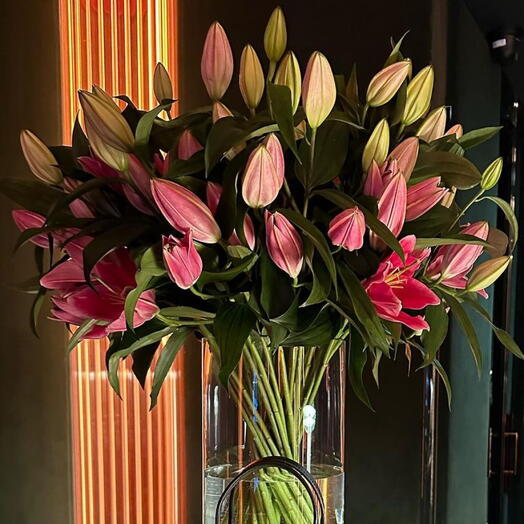 Lily 11 stems