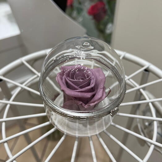Boîte transparente rose eternelle vieux rose