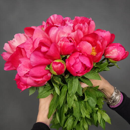 Corail