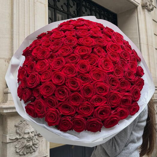 101 roses rouges