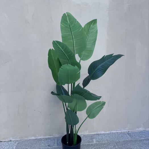 Plante, bananier, artificiels