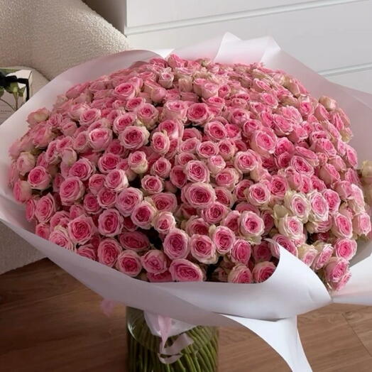 Spray Roses 101