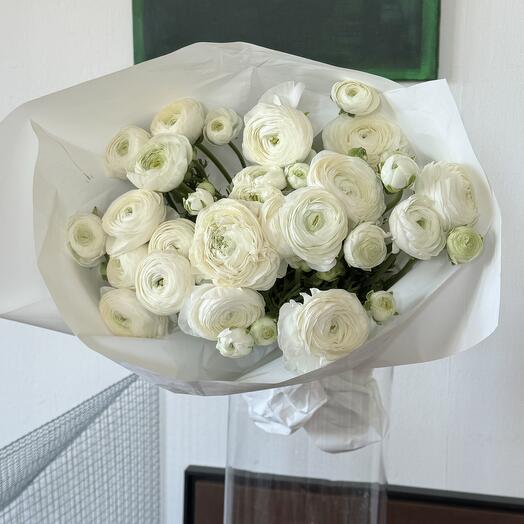 White Ranunculus XXL