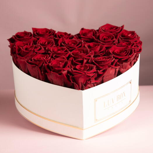 Среднее сердце