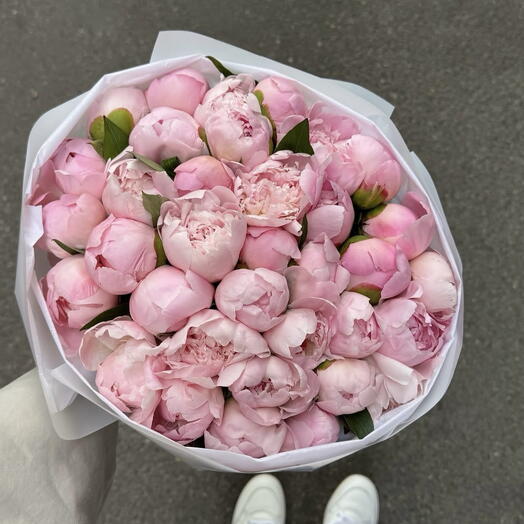 Peonies fantasy