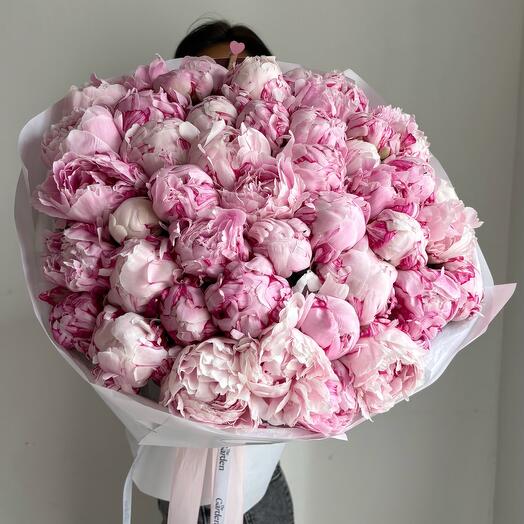 Barbie pink peonies