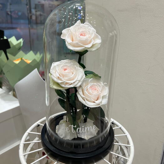 Rose eternelle sous cloche triple rose
