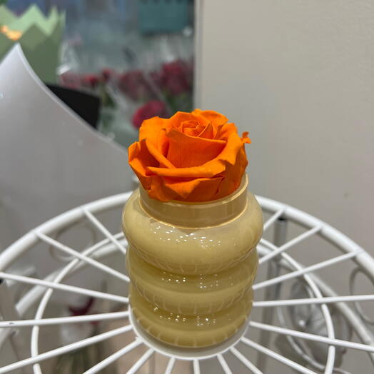 Rose eternelle orange vase jaune