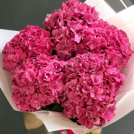 Hortensia dark rose 5 branches