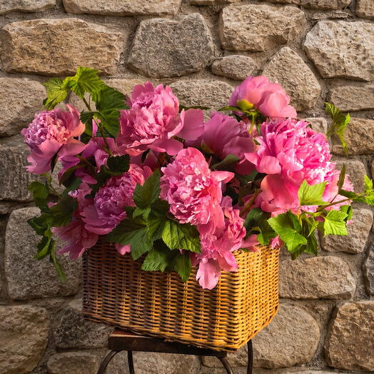 Silence Fleuri