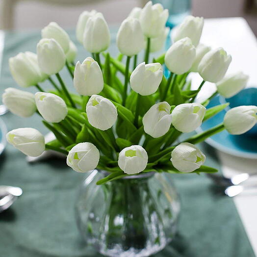 Tulips white