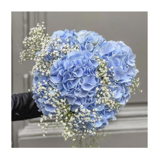 Hortensias gipsophil