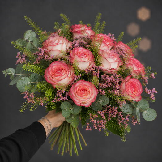 Pink rose