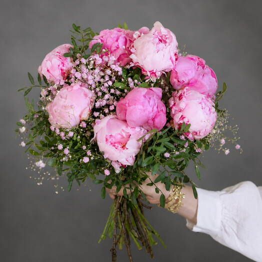 Pivoine rose