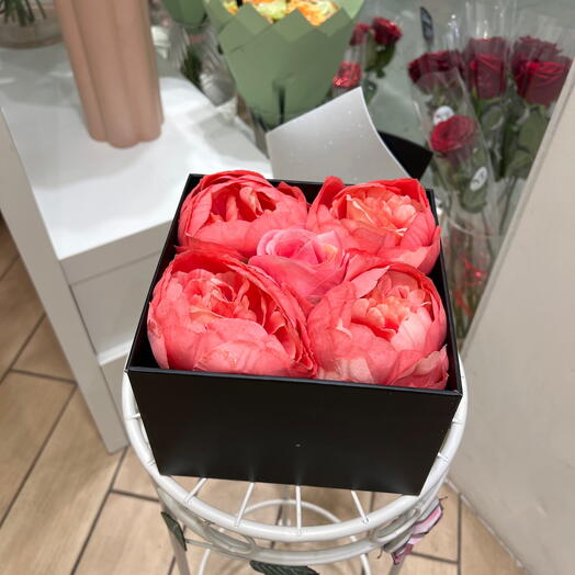 Box carre noir pivoine rose