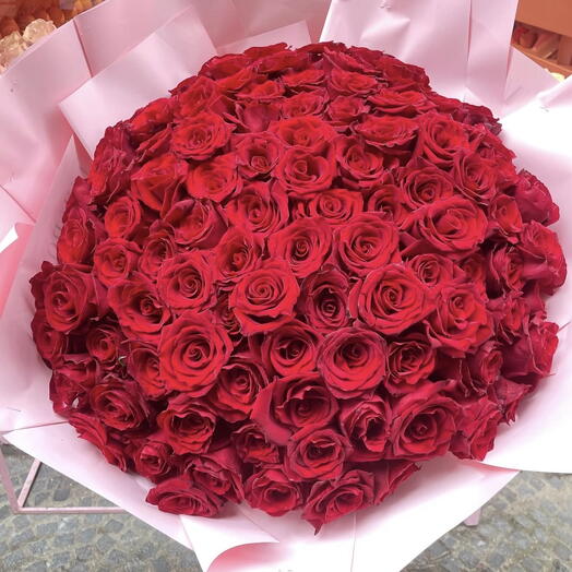 100 roses