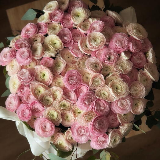 Ranunculus 100