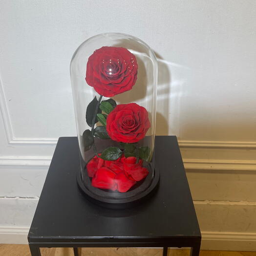 Клош с 2 розами