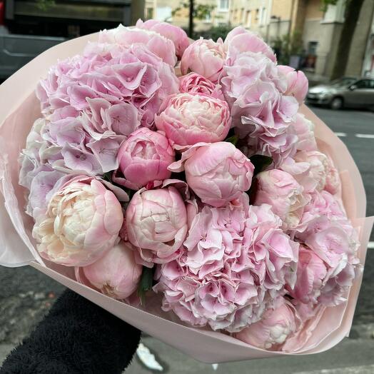 Peonies hortensia 15 stems