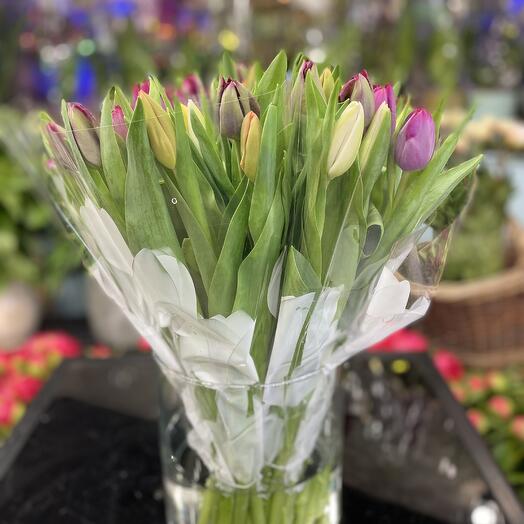 Tulipes multicolores