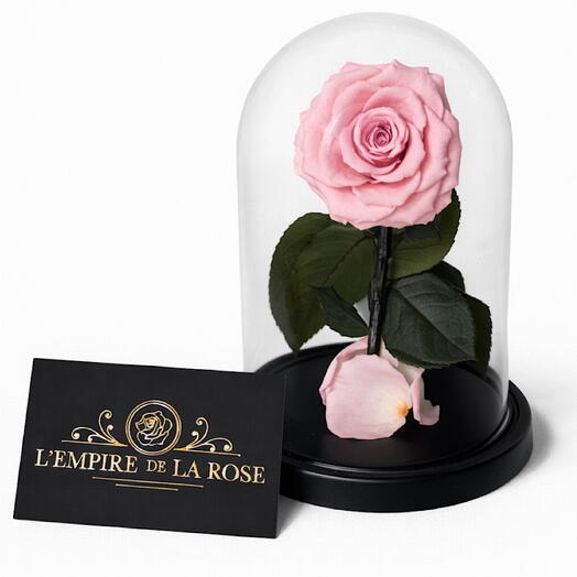 Очарование в розовом