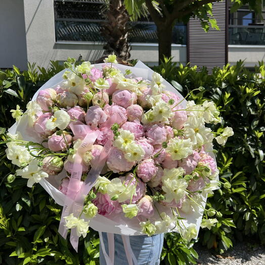 Peony fantasy