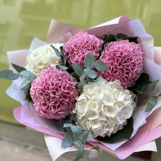 Hortensias roses et blancs