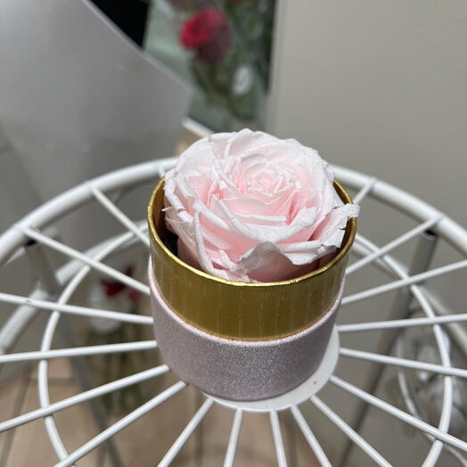Rose eternelle unite rose