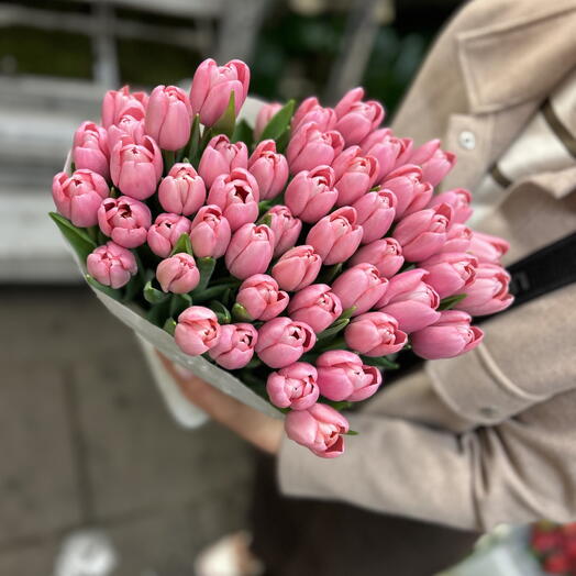 50 tulips rose