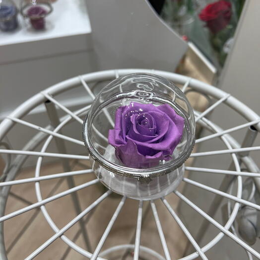 Boîte transparente rose eternelle violette
