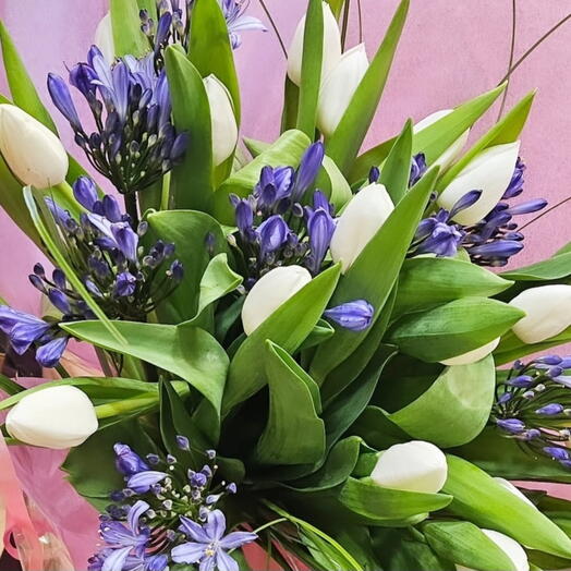 Tulipes et Agapanthes