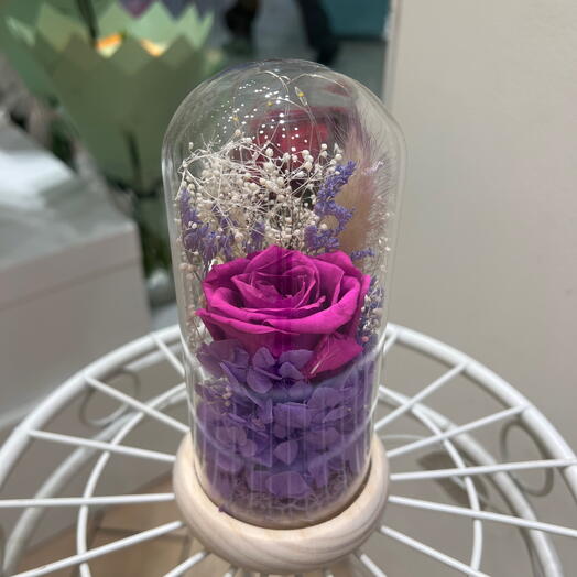 Cloche lumineuse rose violette