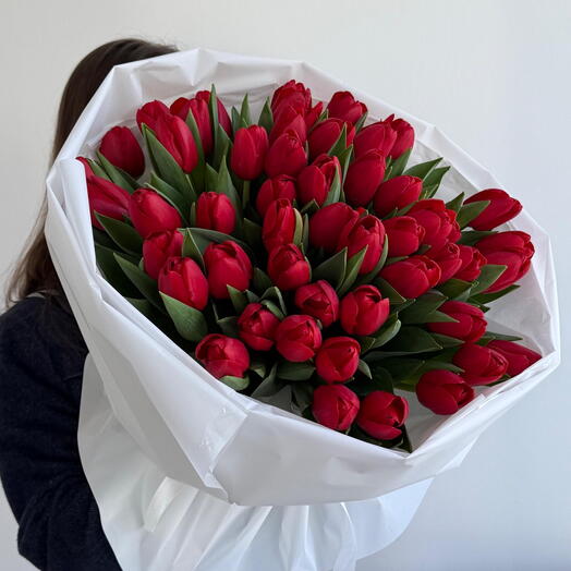Red tulips 49 stems