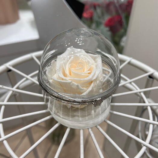 Boîte transparente rose eternelle creme