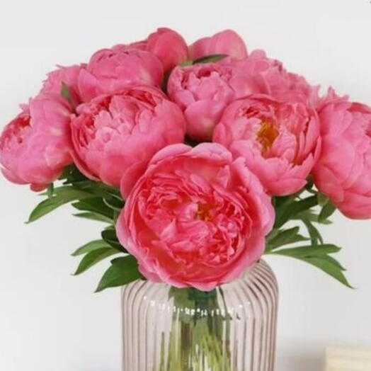 Pivoine corailBouquet Prestige : Pivoines Corail "Coral Charm" - Livraison Paris   IDF