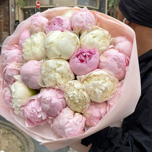 Fièvre des pivoines