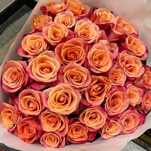 Rose orange 33 flowers