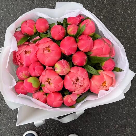 Peony Coral 25 stems