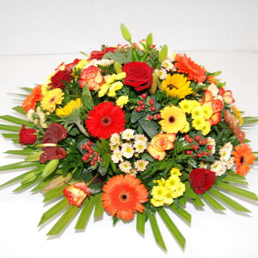 Coussin colore