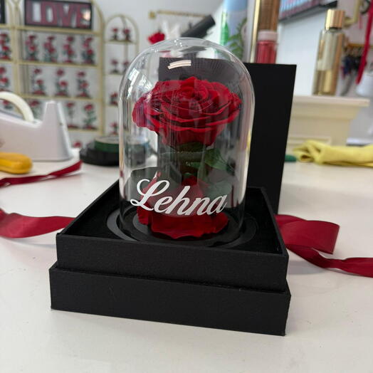 Стабилизированная роза