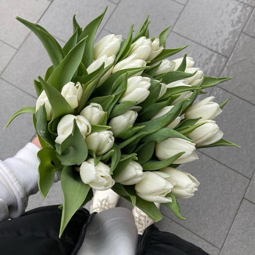 White tulips 20 stems